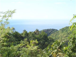 Columbette Cottage on 6 acres land for Sale in Soufriere