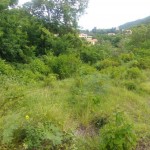 land for sale at caye mange gros islet