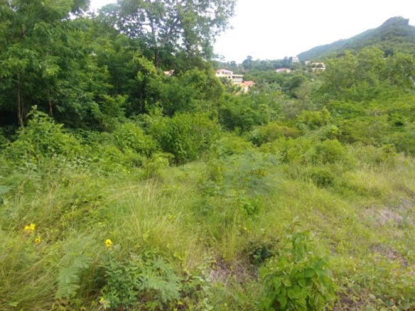 land for sale at caye mange gros islet