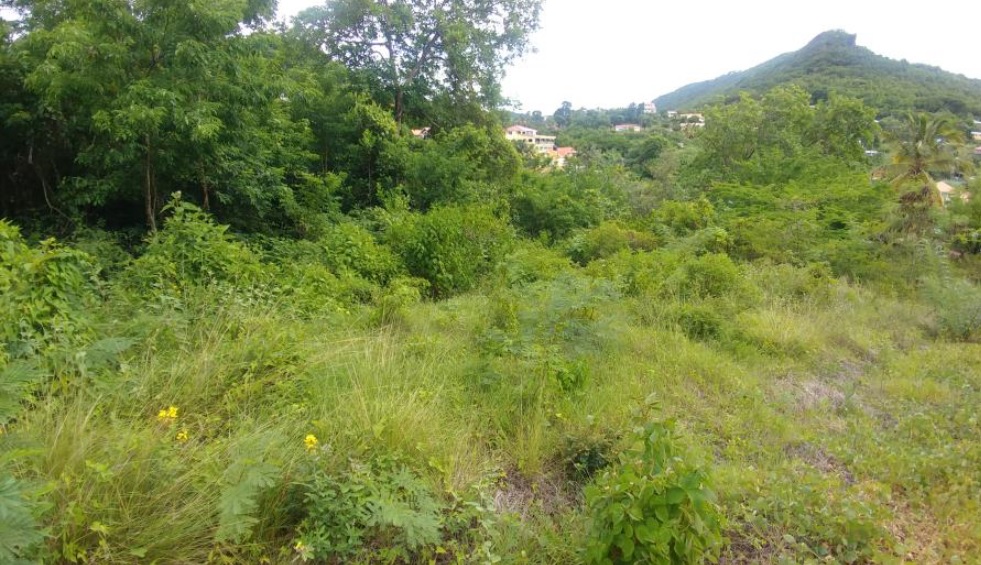 land for sale at caye mange gros islet