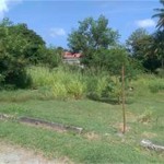 choiseul land for sale