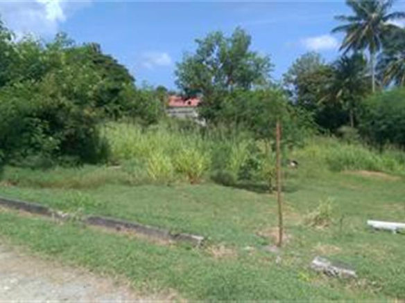 choiseul land for sale