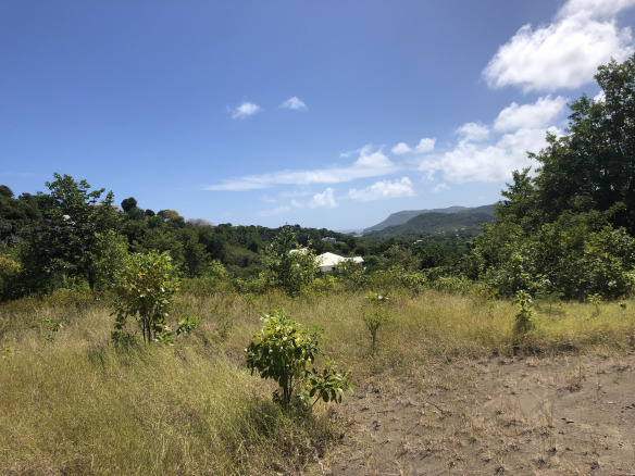 land fo sale in cap estate st lucia 56000 SF