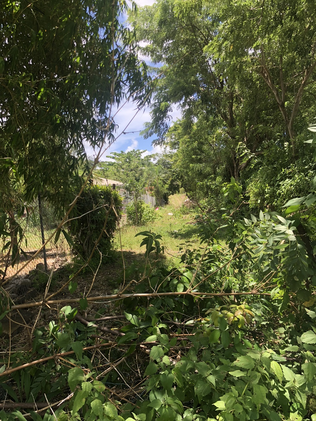 Lot For Sale in Augier Vieux Fort, LC Saint Lucia