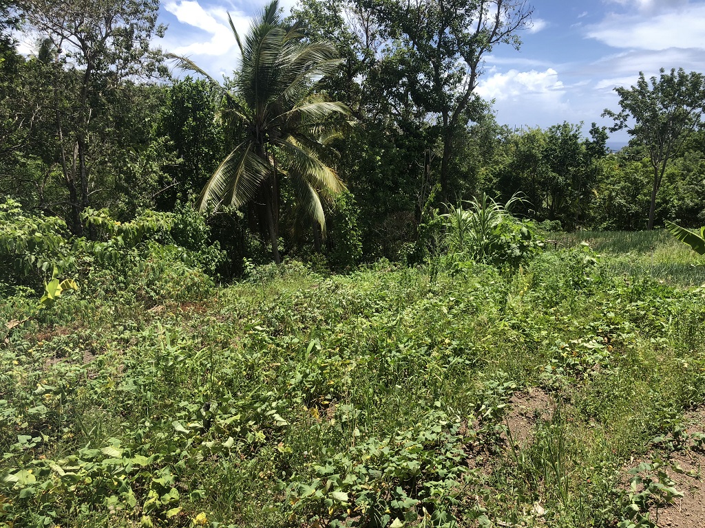 Lot For Sale in Augier Vieux Fort, LC Saint Lucia