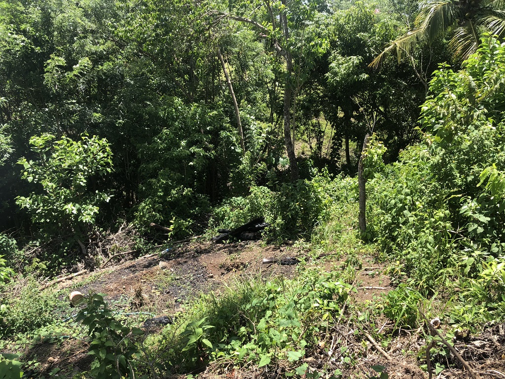 Lot For Sale in Augier Vieux Fort, LC Saint Lucia