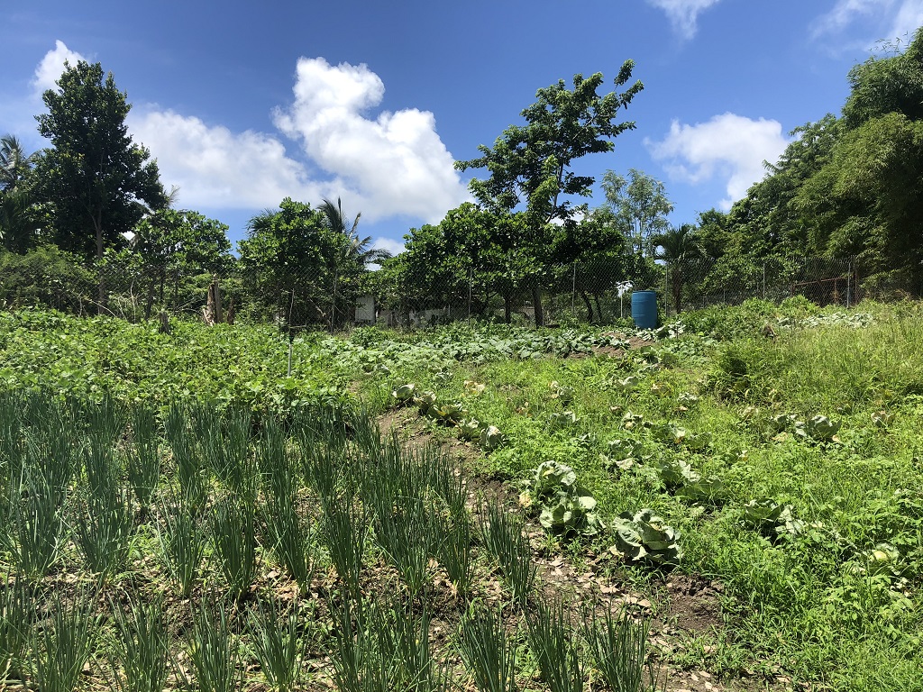 Lot For Sale in Augier Vieux Fort, LC Saint Lucia