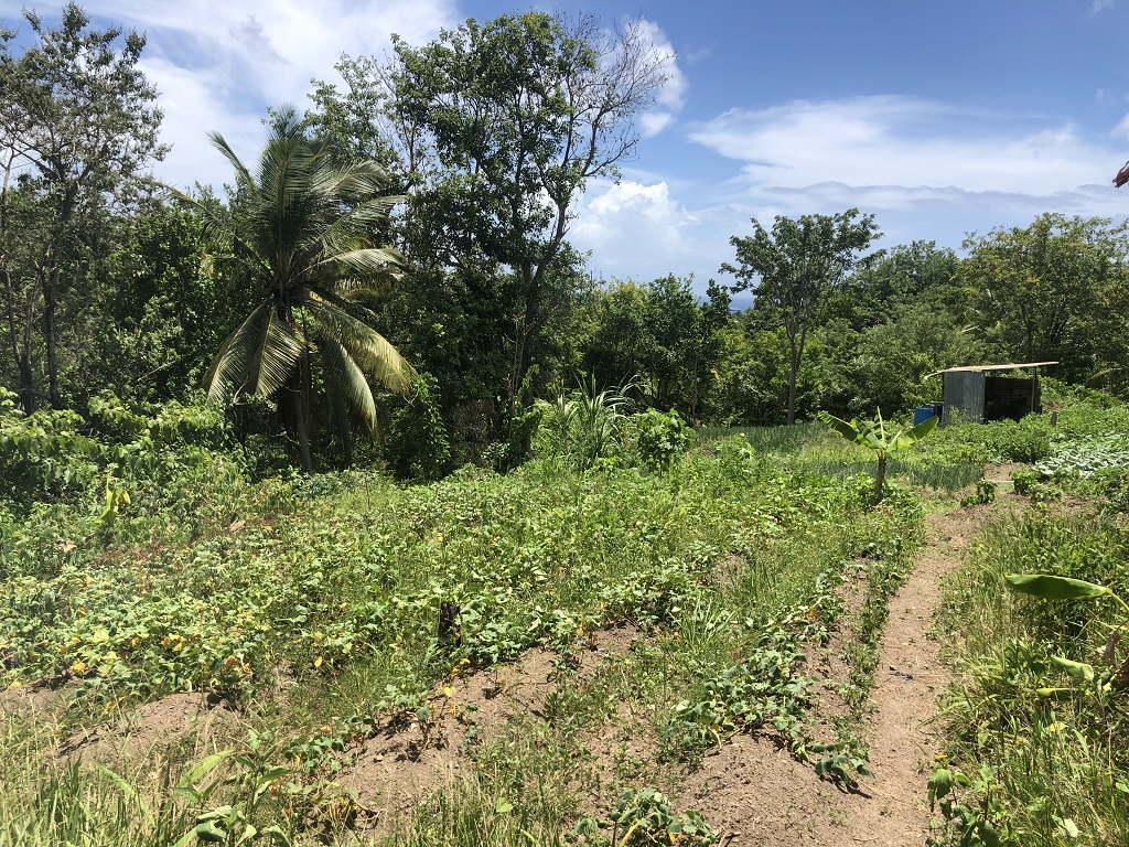 Lot For Sale in Augier Vieux Fort, LC Saint Lucia