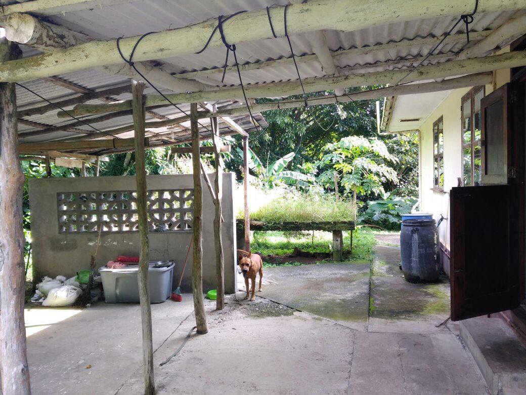 homes for sale st lucia property