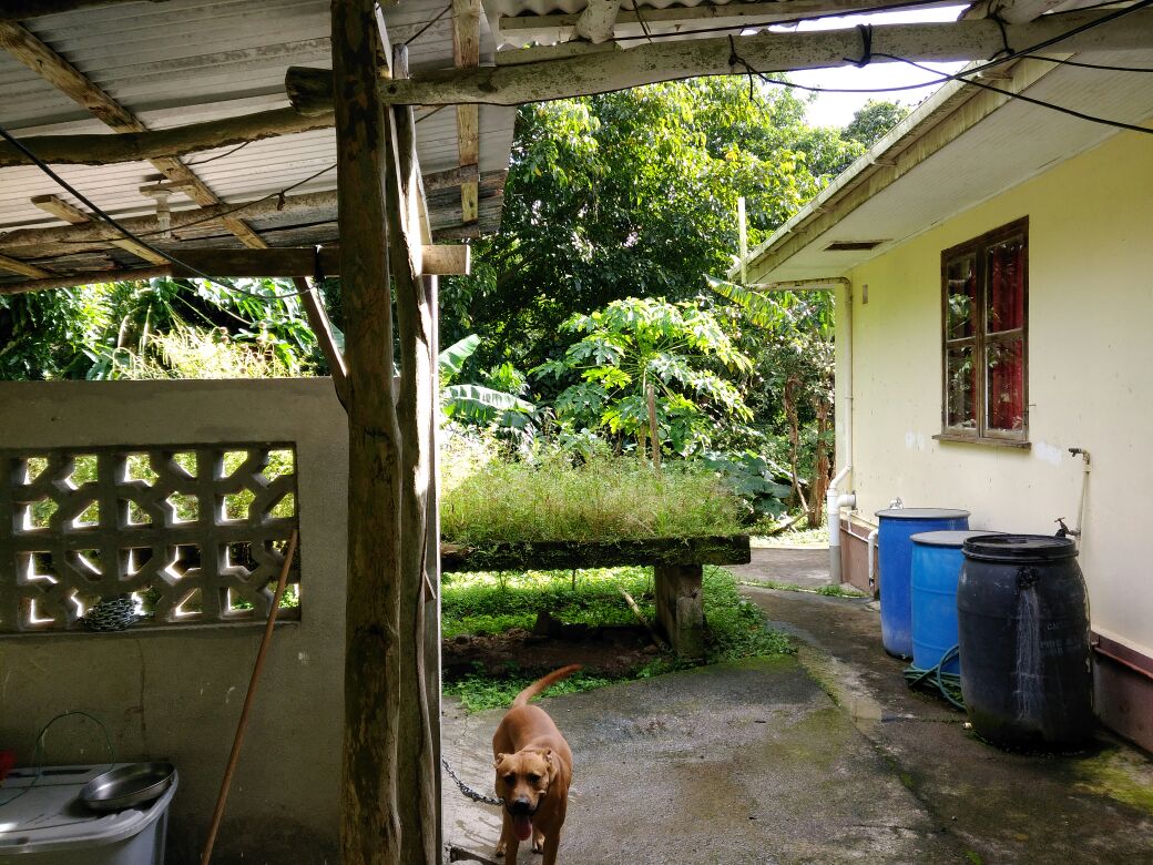 soufriere homes for sale st lucia caribbean