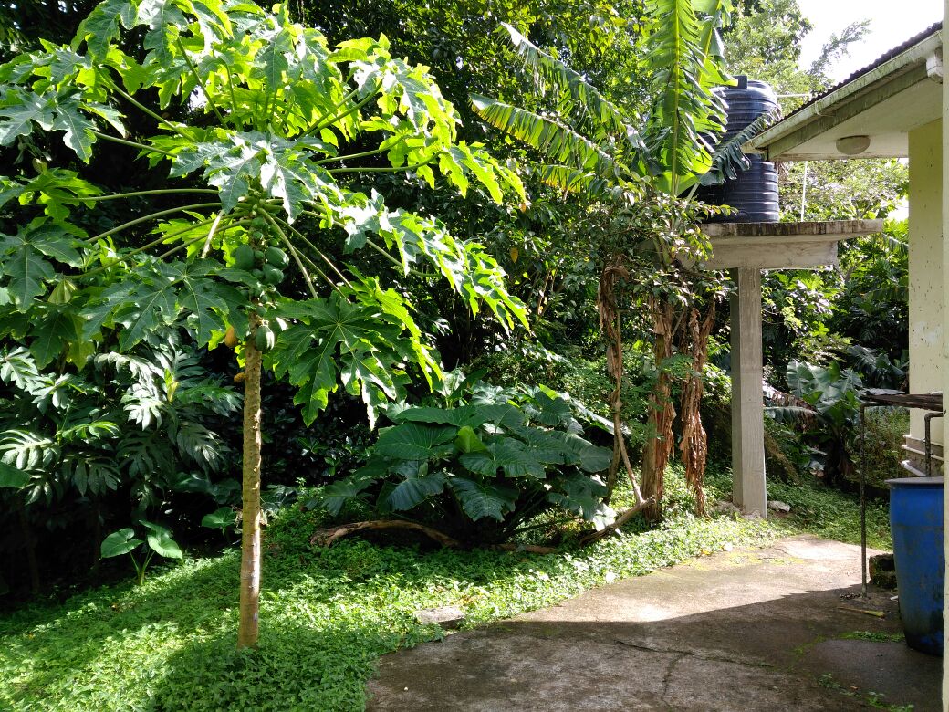 soufriere homes for sale st lucia