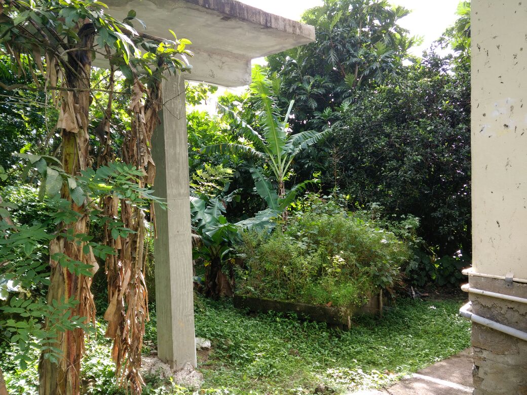 buy stlucia-homes for sale st lucia