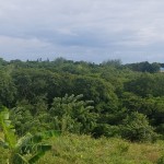 Choiseul St Lucia Property Deal