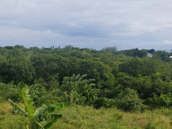 Choiseul St Lucia Property Deal