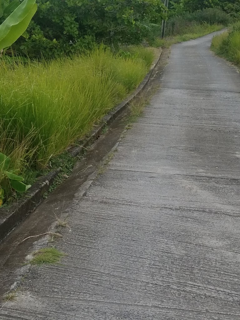 road to choiseul st lucia property deal