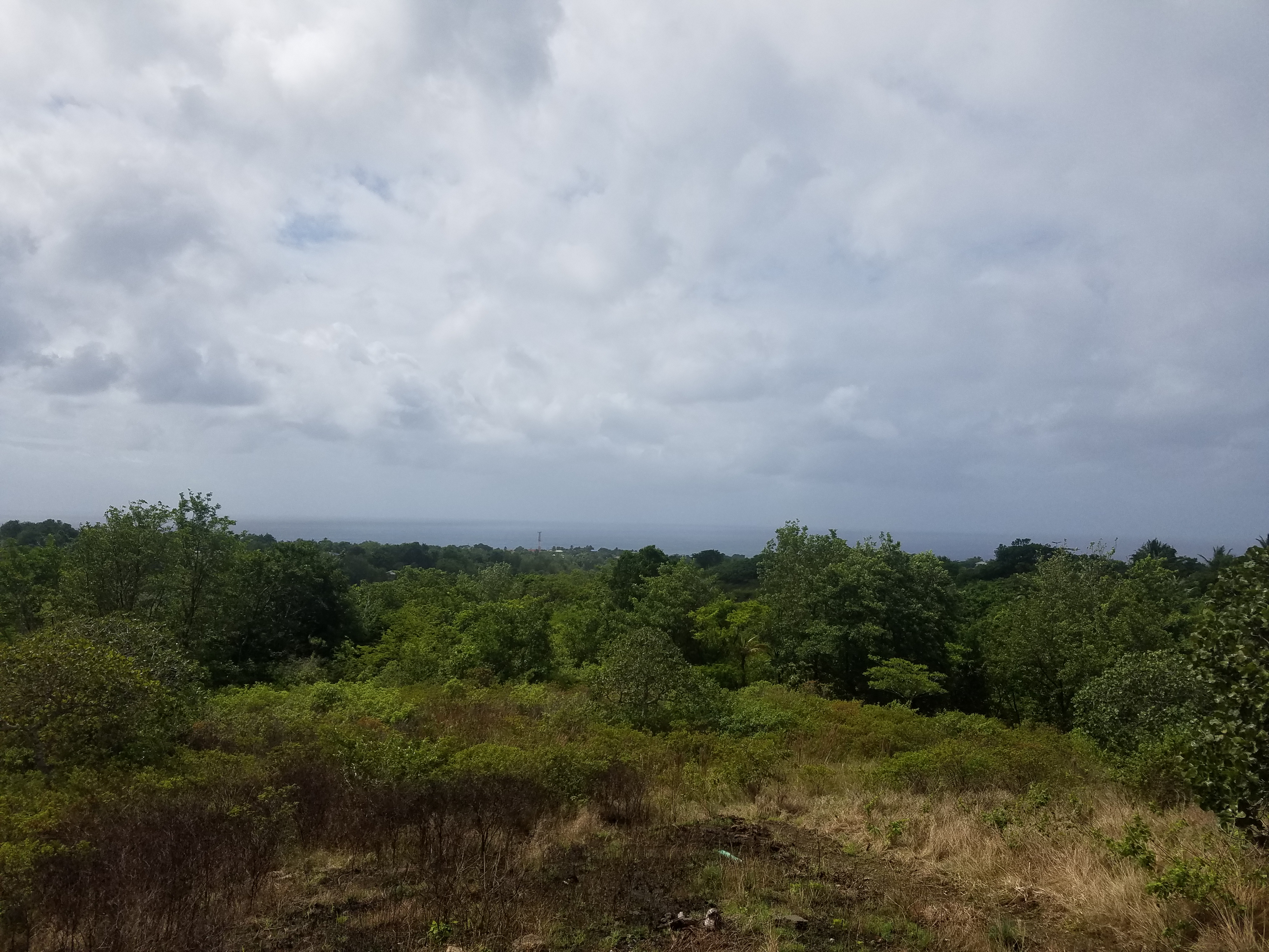 Choiseul St Lucia Property Deal – 4 Acres Land