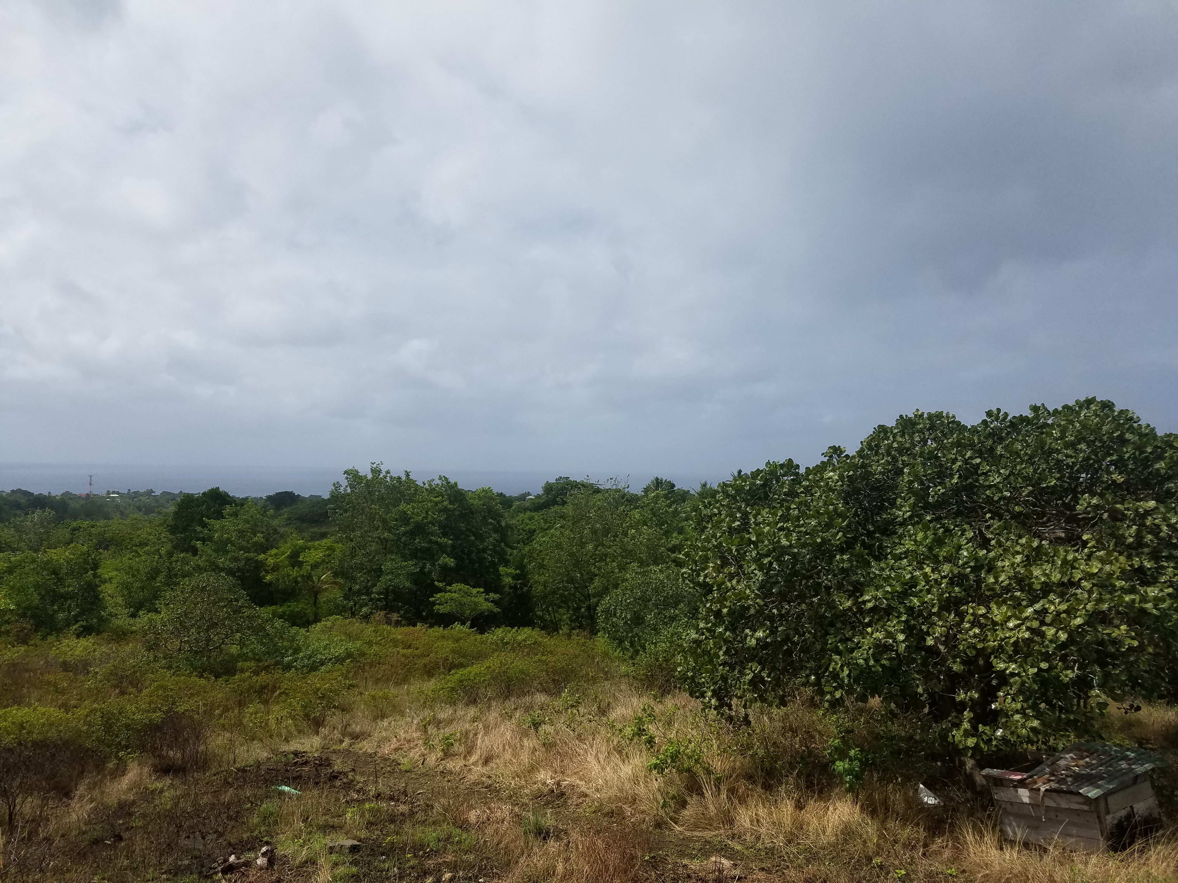 Choiseul St Lucia Property Deal – 4 Acres Land