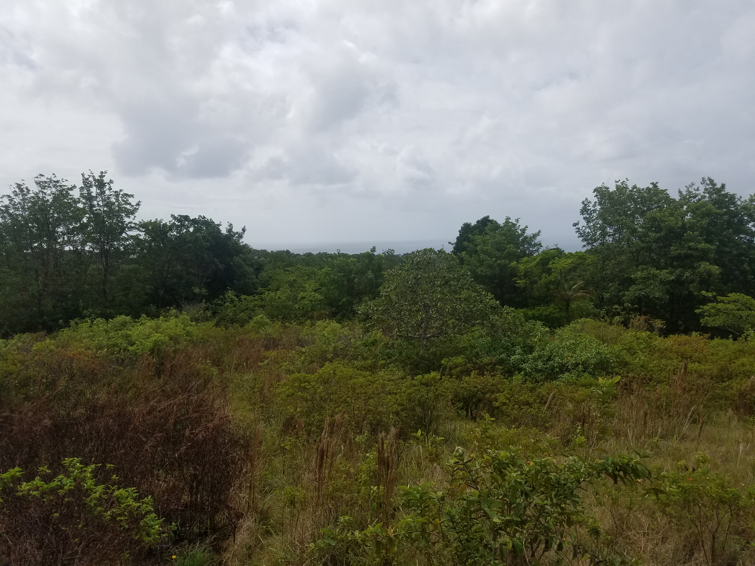 20181119_112558 Choiseul St Lucia Property Deal – 4 Acres Land