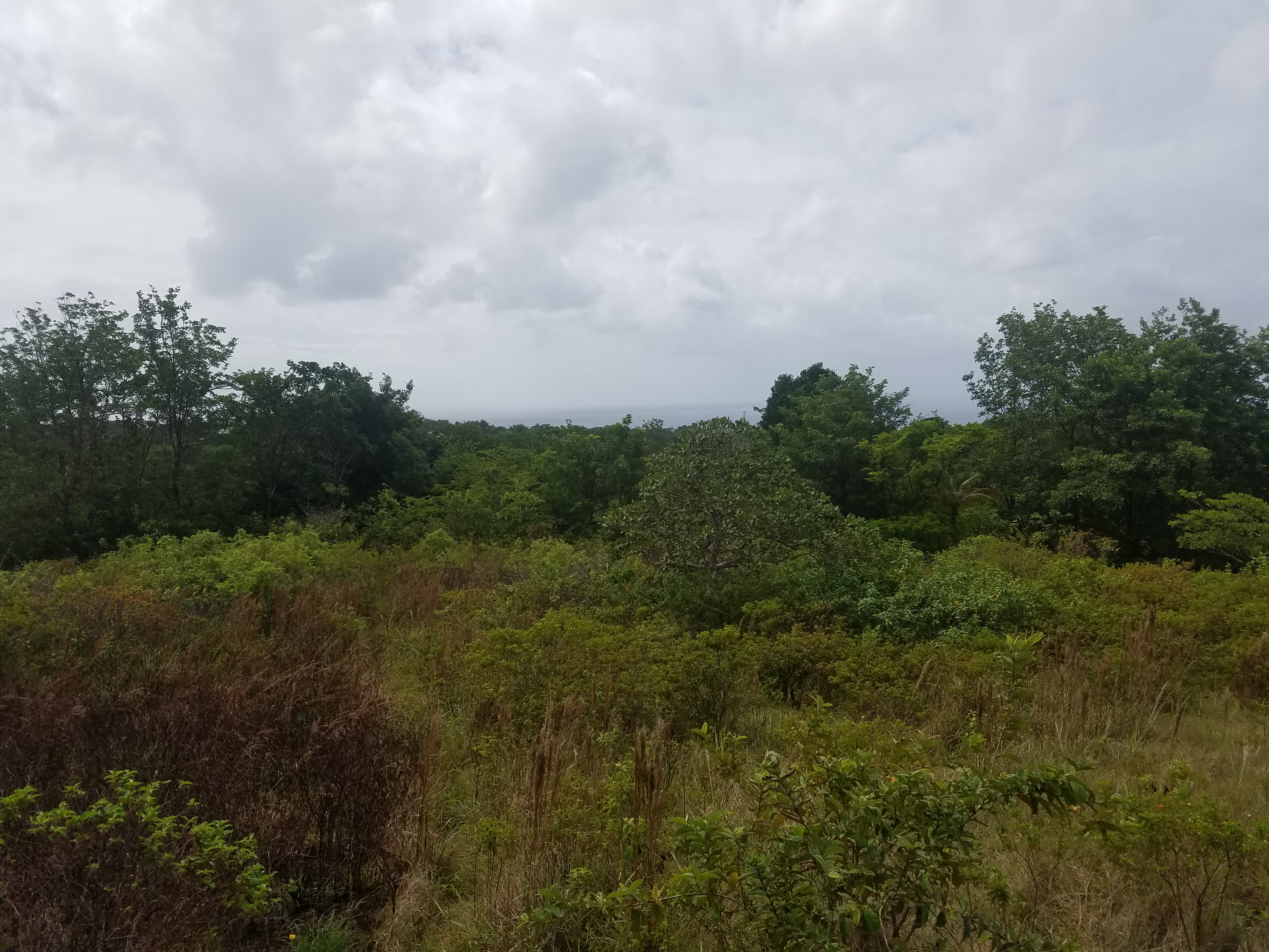 Choiseul St Lucia Property Deal – 4 Acres Land