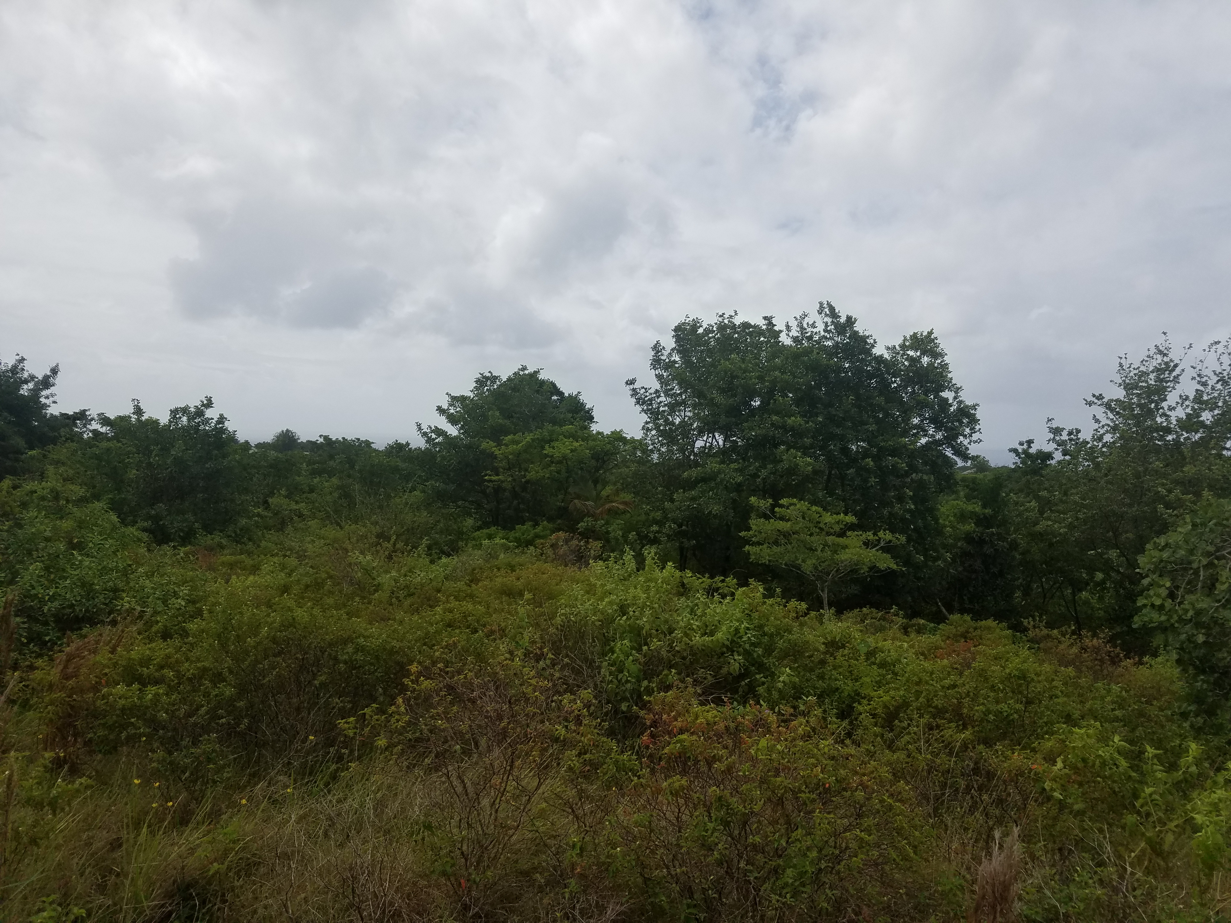 Choiseul St Lucia Property Deal – 4 Acres Land