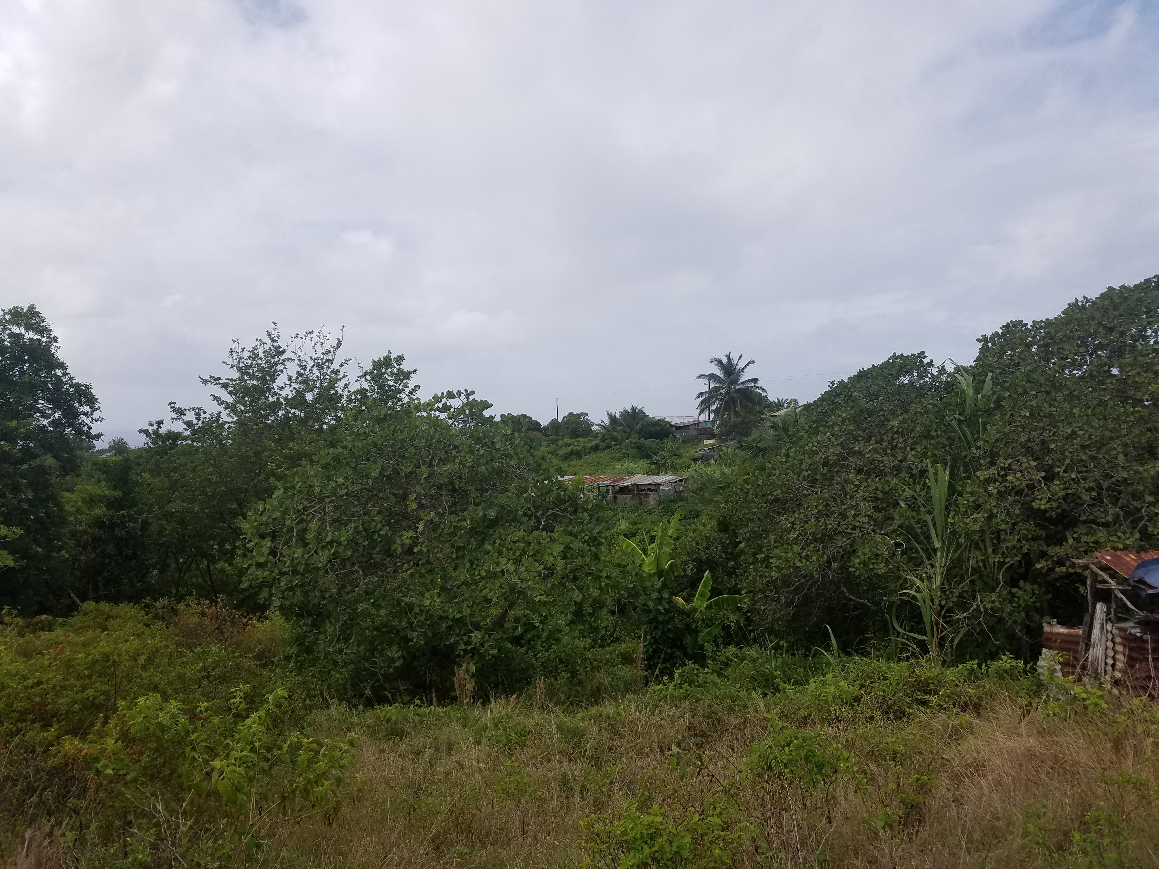 Choiseul St Lucia Property Deal – 4 Acres Land