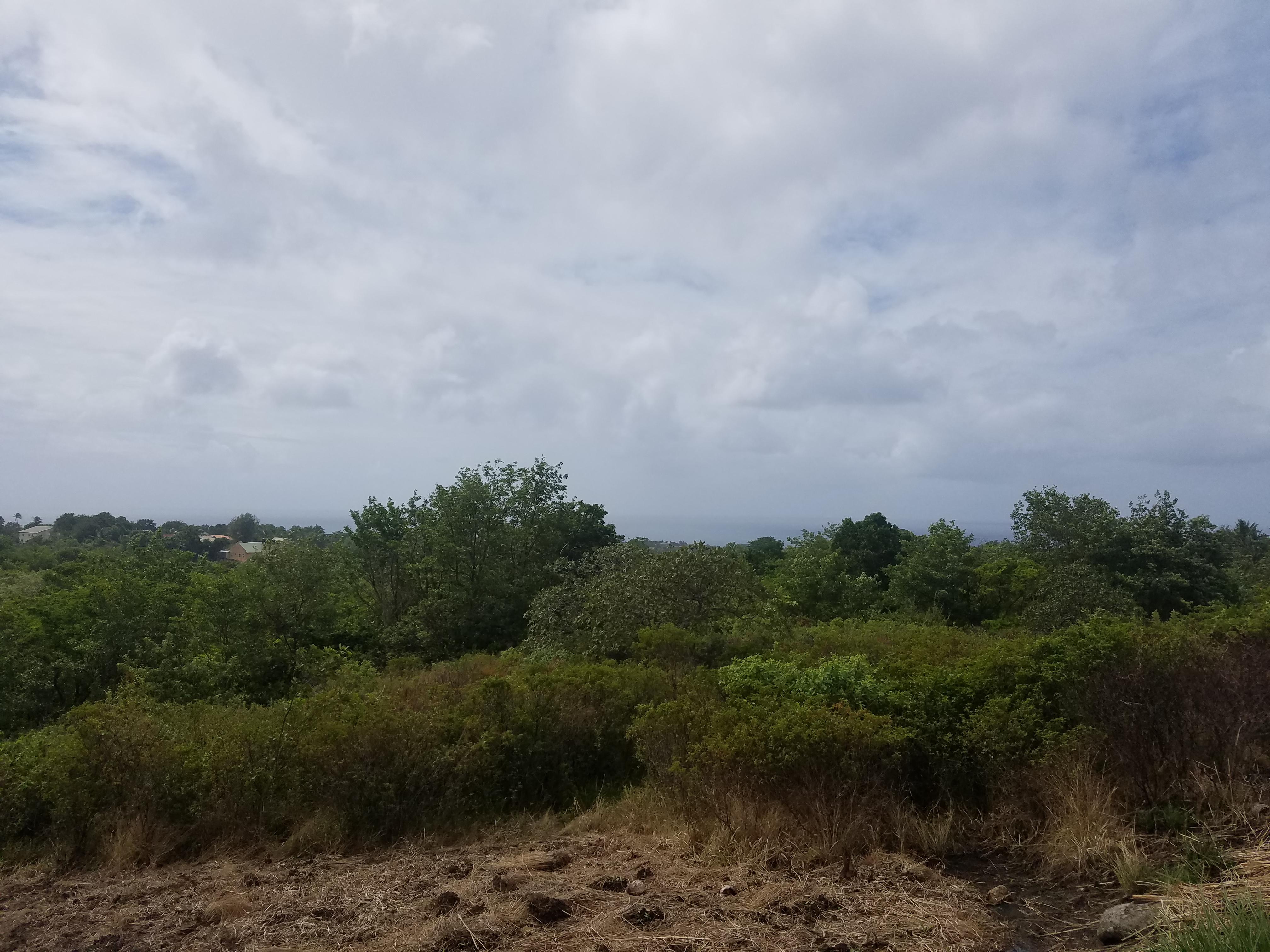 Choiseul St Lucia Property Deal – 4 Acres Land