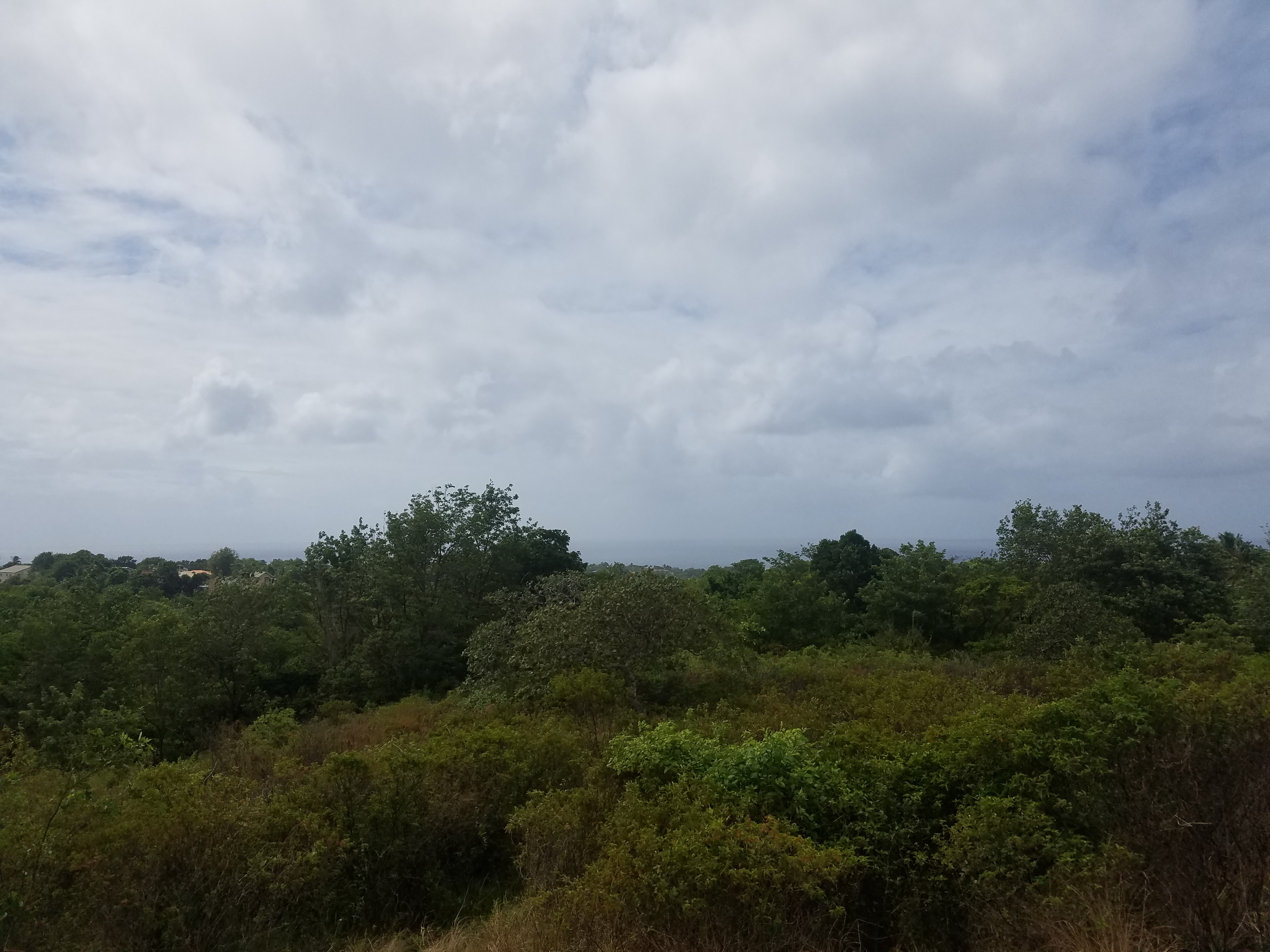 Choiseul St Lucia Property Deal – 4 Acres Land