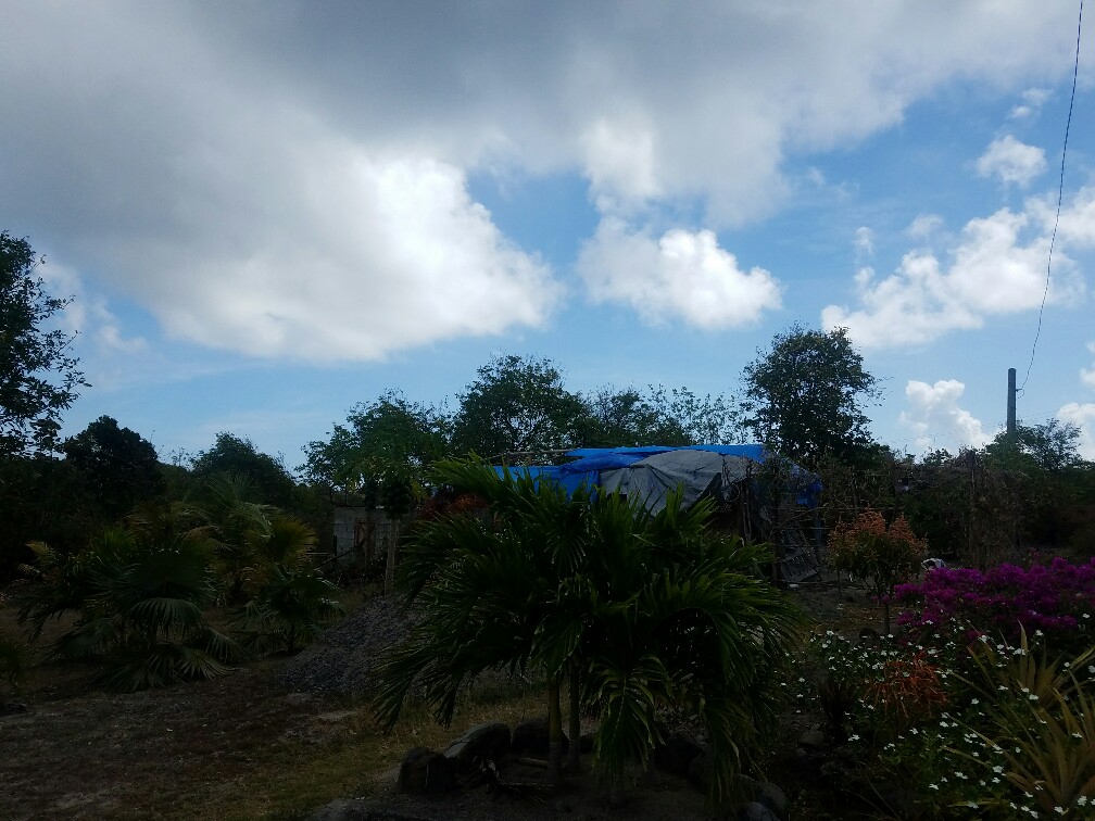 780