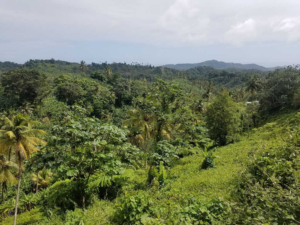 agriculture land for sale in st lucia