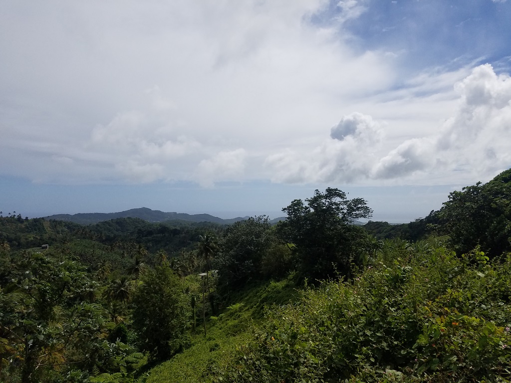 Agriculture Land For Sale St Lucia, LC