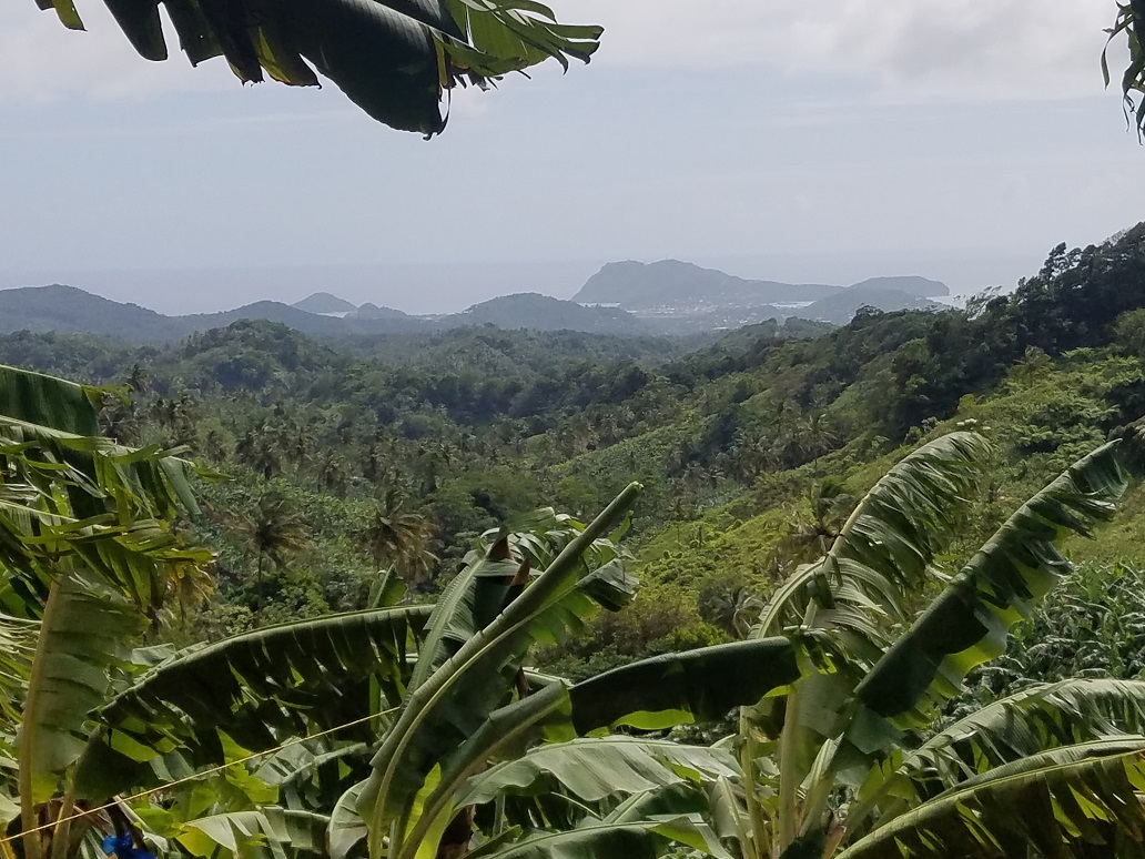 buying property in st lucia with farm
