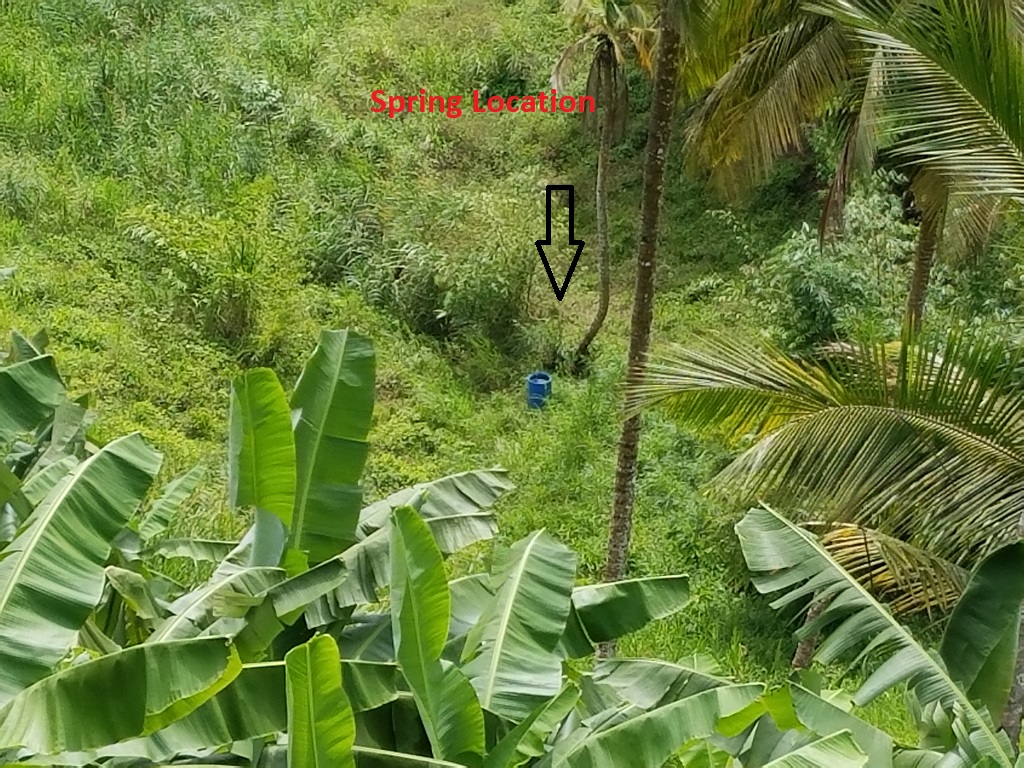 farm land for sale st lucia