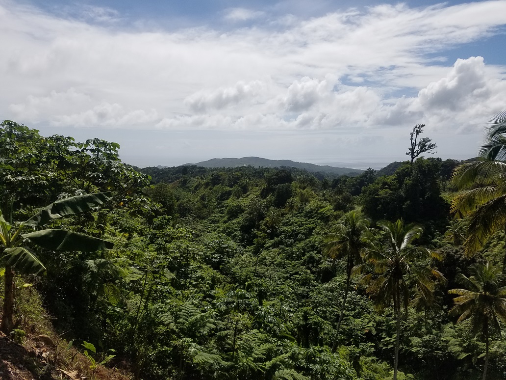 farm land for sale st lucia caribbean