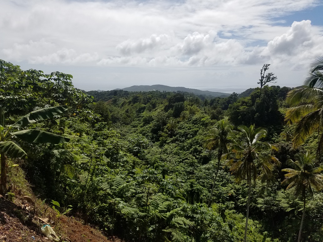 farm land for sale st lucia view