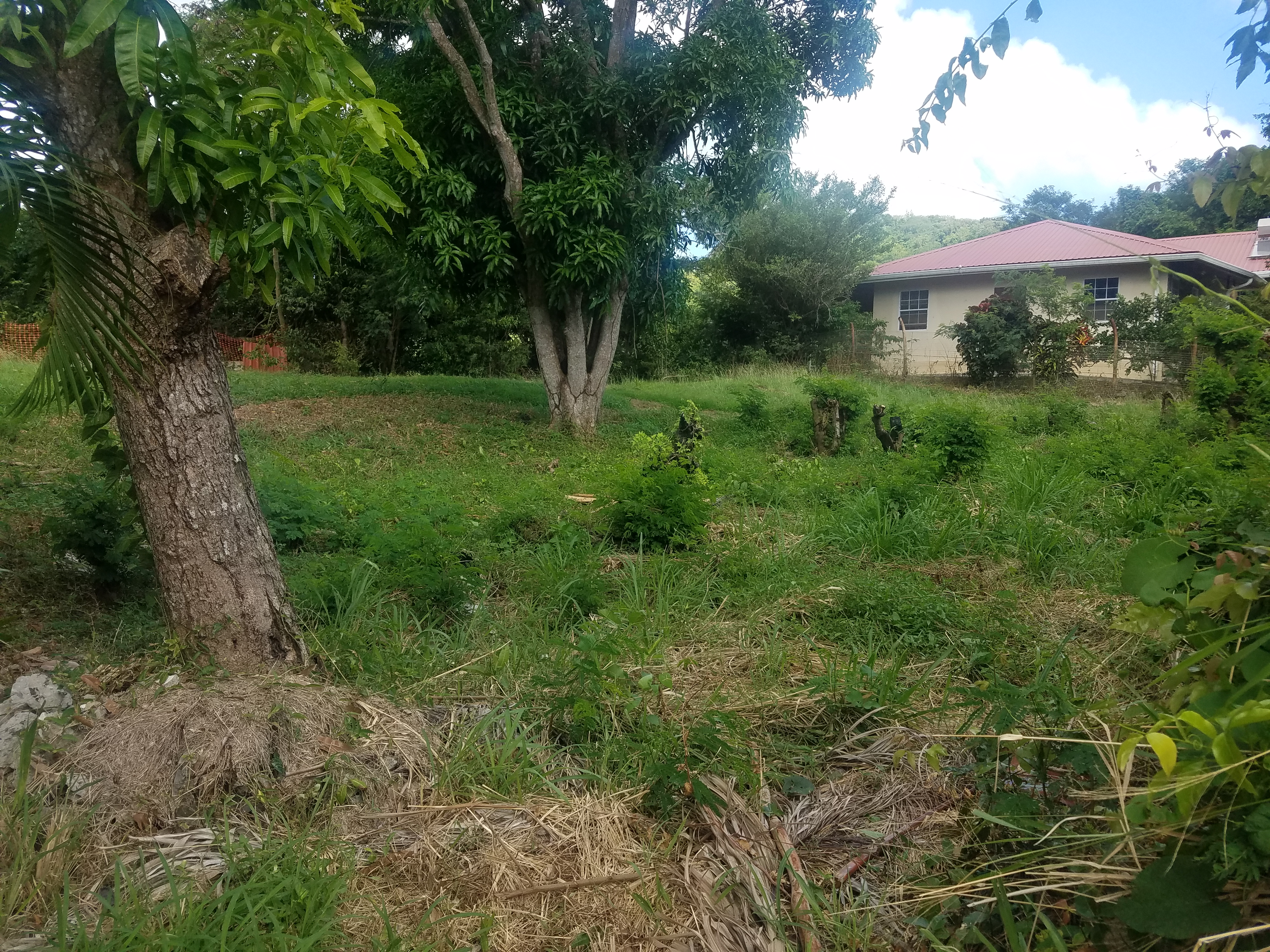 land for sale in vieux fort near horse racing track