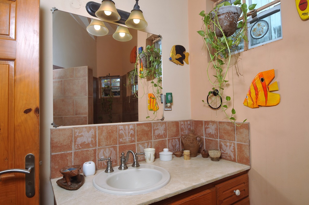 st lucia horse property for sale