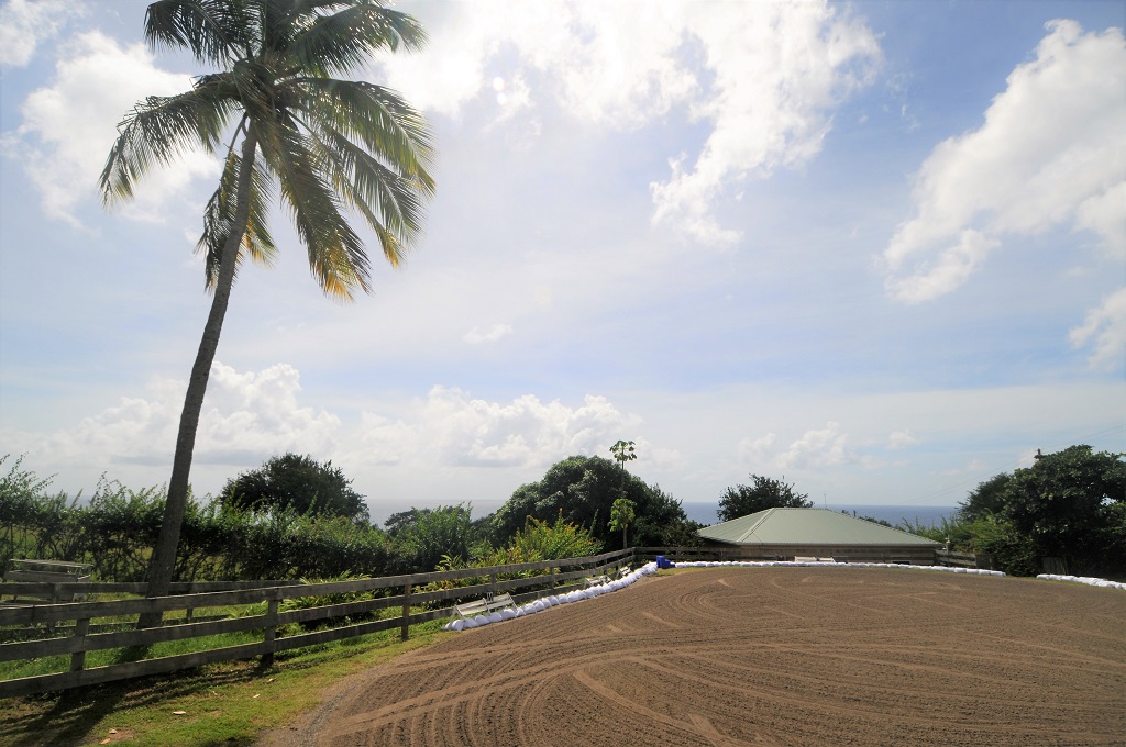 buy st lucia st lucia equestrian properties for sale near me