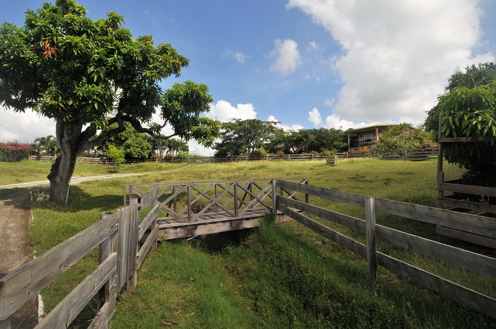 st lucia equestarian st lucia properties for sale near me