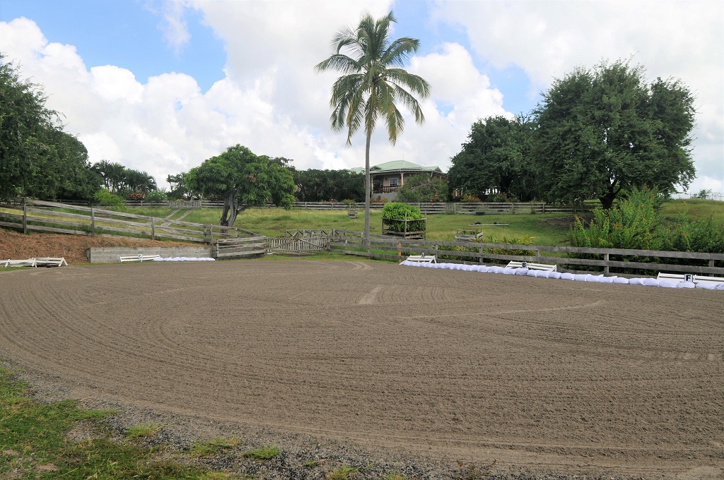 st lucia equestrian properties for sale near me