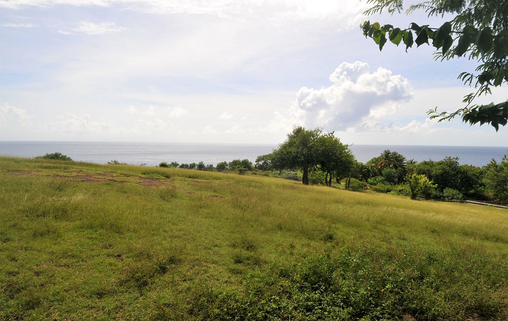 equine st lucia properties for sale st lucia