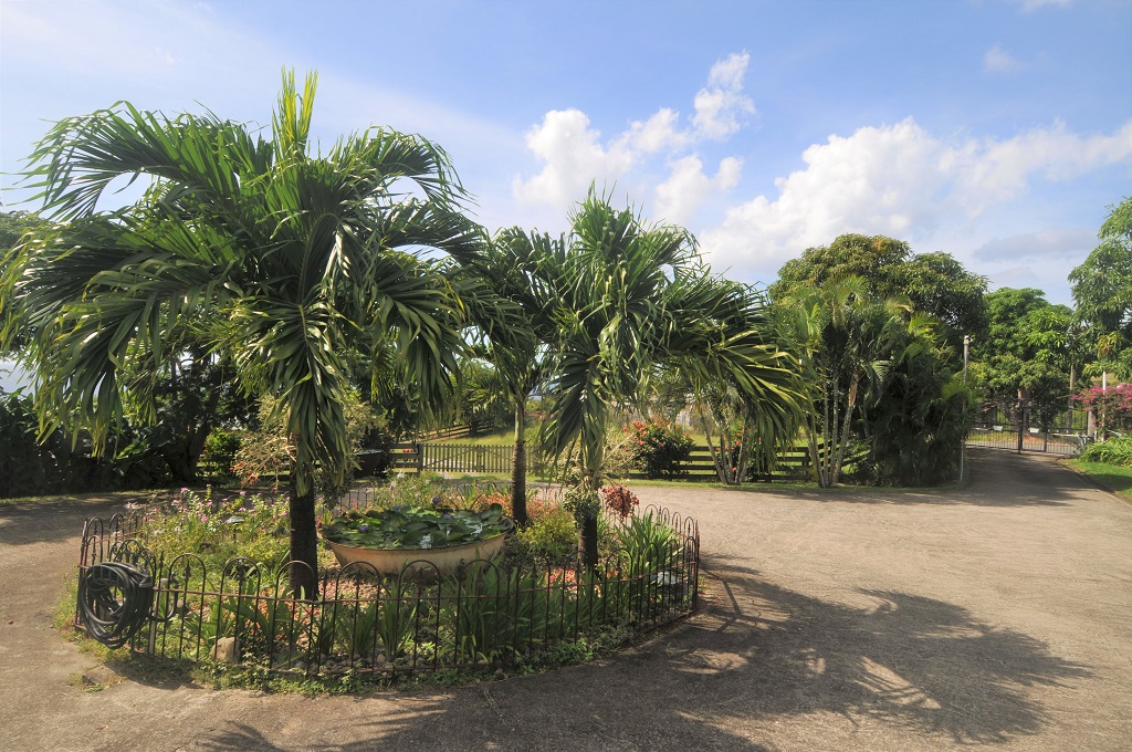 st lucia equine properties for sale st lucia