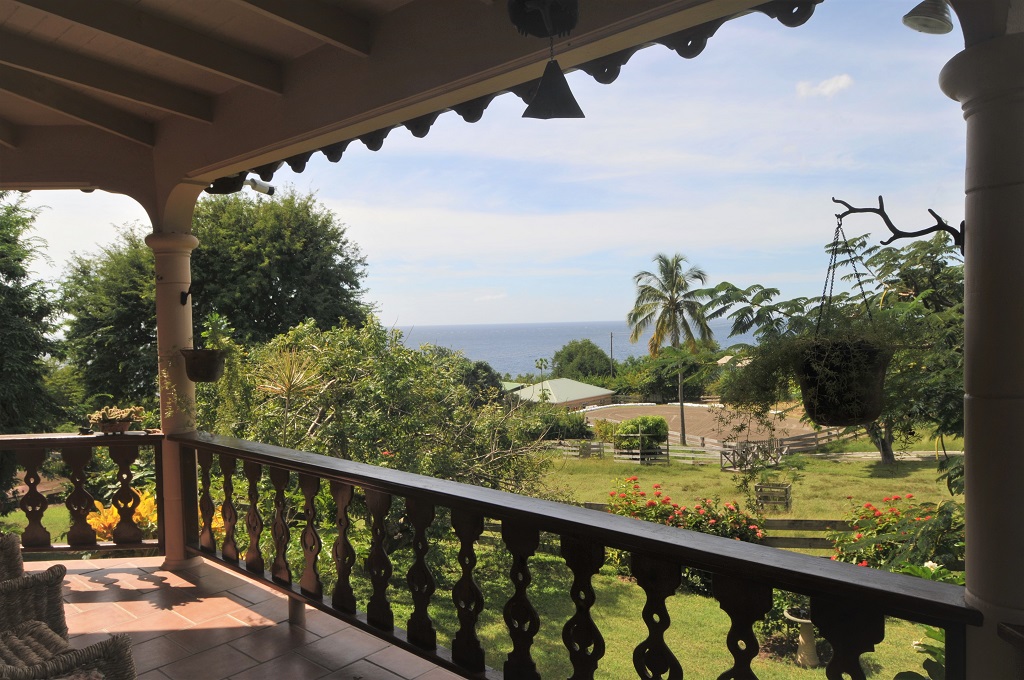 equine properties for sale st lucia and rent
