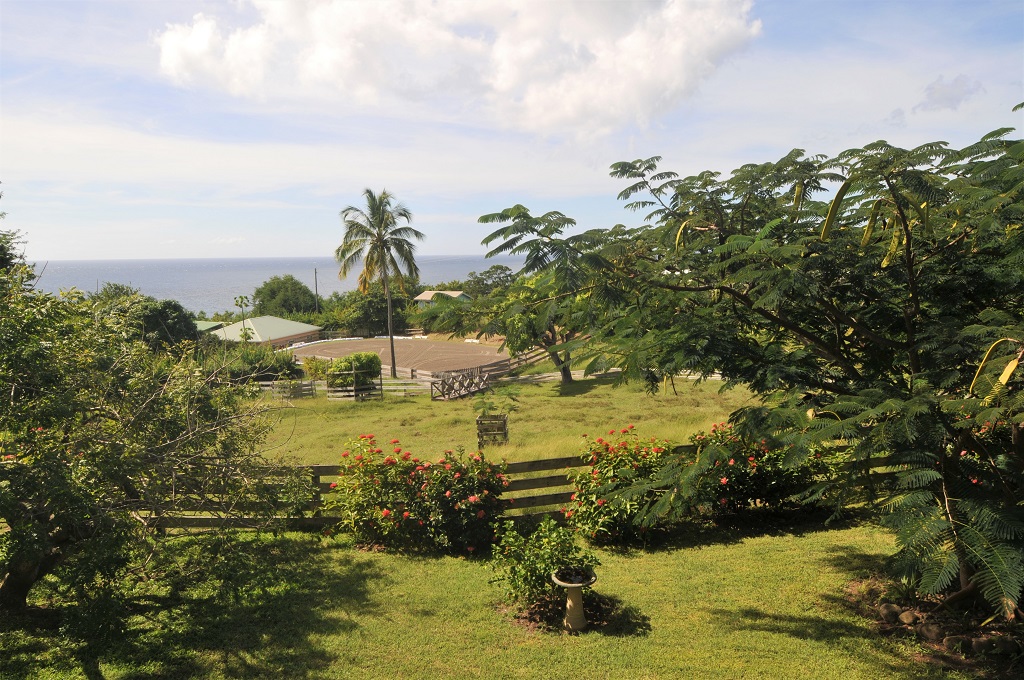 equine properties for sale st lucia