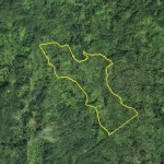 agriculture land for sale St Lucia