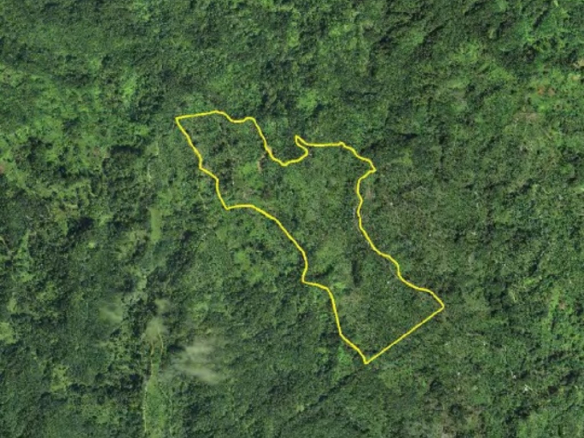 agriculture land for sale St Lucia