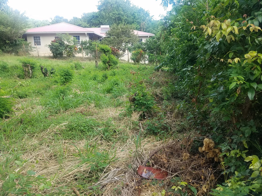 Small Property For Sale Near Horse Racing Track In Vieux-Fort