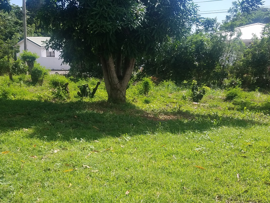 Small Property For Sale Near Horse Racing Track In Vieux-Fort
