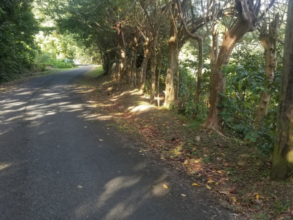 Residential Land For Sale at Mamiku Gardens