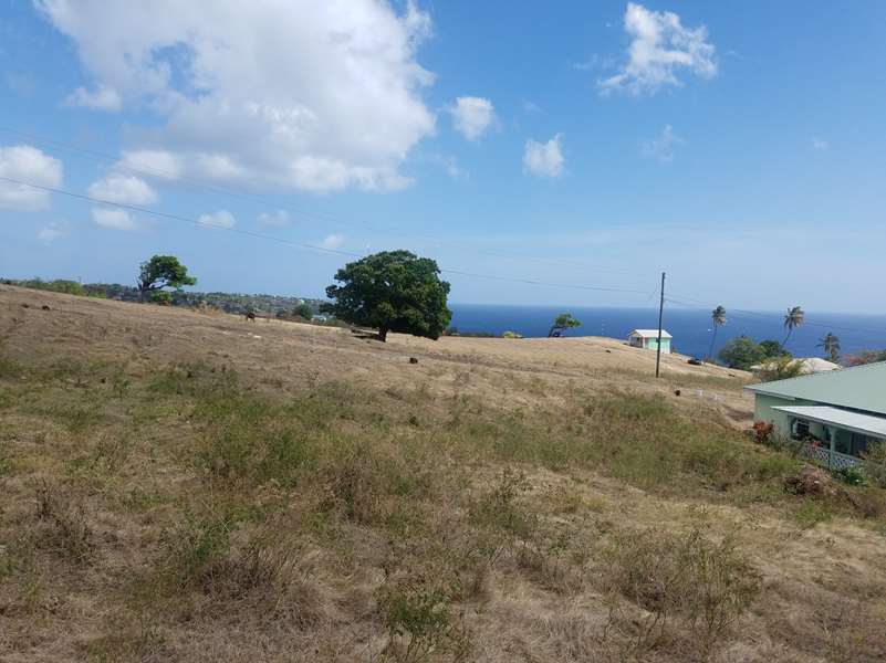 New Subdivision For Sale Near Old Sugar Mill Choiseul