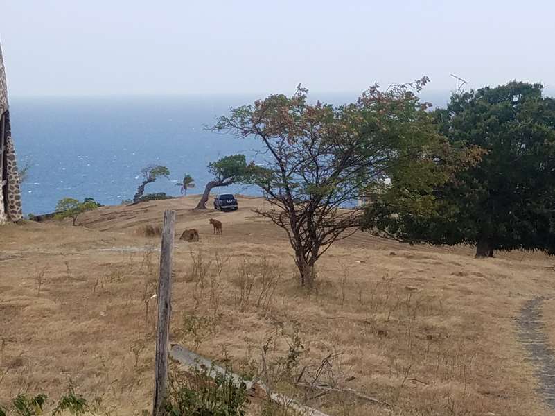 New Subdivision For Sale Near Old Sugar Mill Choiseul